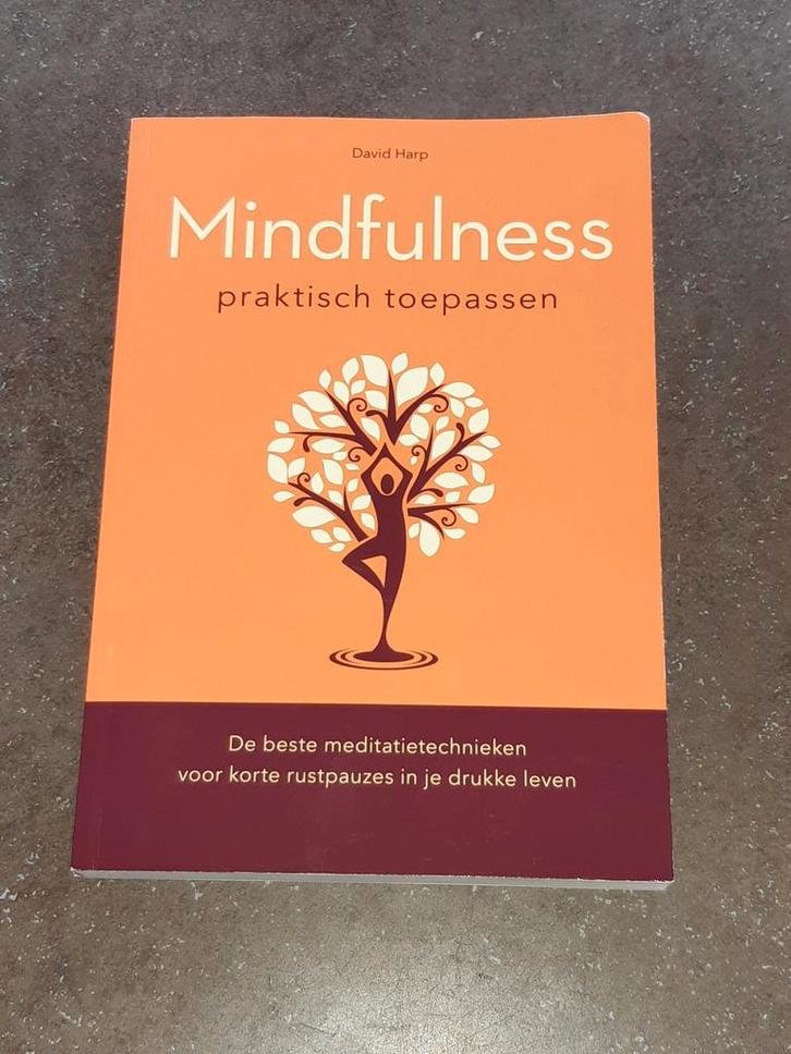 Mindfulness praktisch toepassen David Harp, Boeken, Esoterie en Spiritualiteit, Zo goed als nieuw, Overige onderwerpen, Ophalen of Verzenden