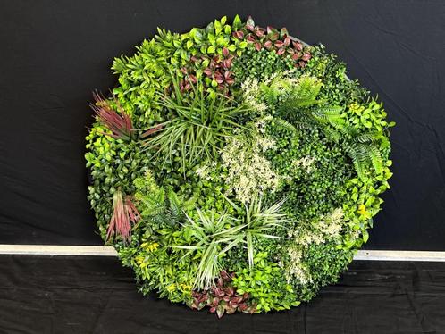 Kunsthaag rond, Huis en Inrichting, Woonaccessoires | Kunstplanten en Kunstbloemen, Nieuw, Binnen, Ophalen of Verzenden