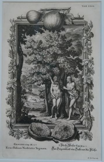 Adam & Eva kunstdruk of print of ets gravure beschikbaar voor biedingen