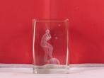 Diverse kristal glasblokken (Foto in glas), Ophalen of Verzenden, Nieuw