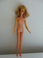 Zeer mooie Francie barbie met wimpers, Verzamelen, Ophalen of Verzenden, Gebruikt, Pop