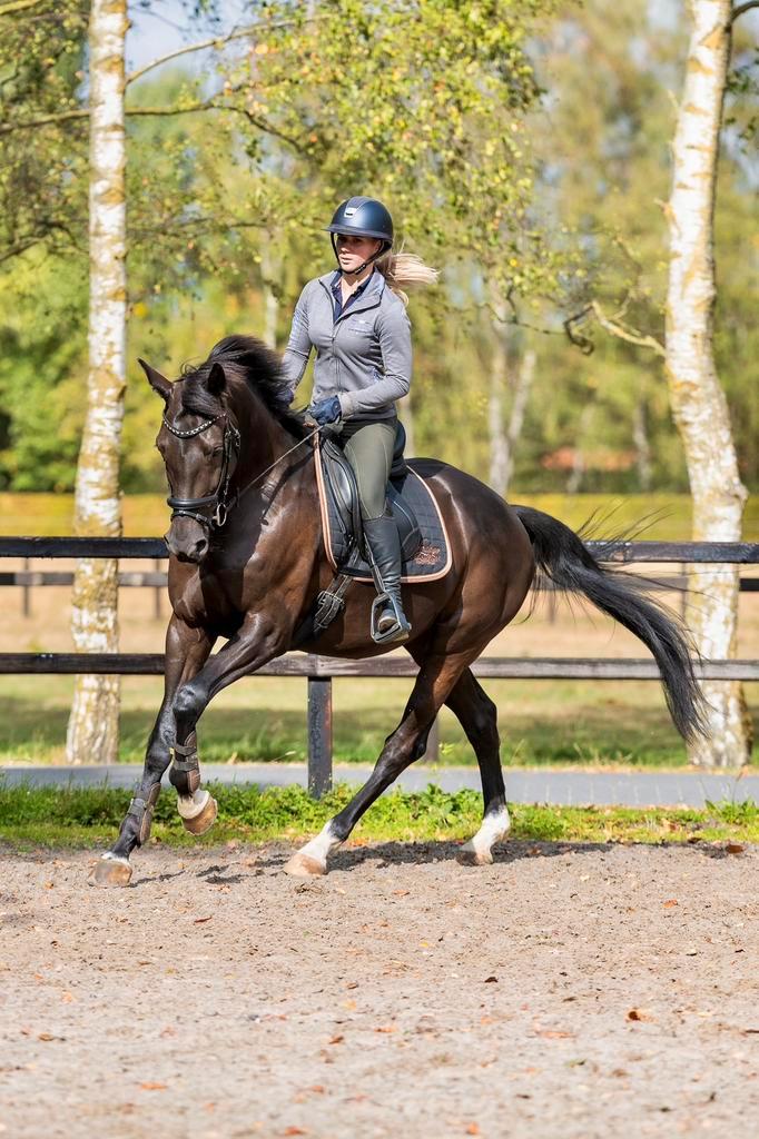 Plek vrij voor trainingspaard, Dieren en Toebehoren, Stalling en Weidegang, Stalling, 1 paard of pony