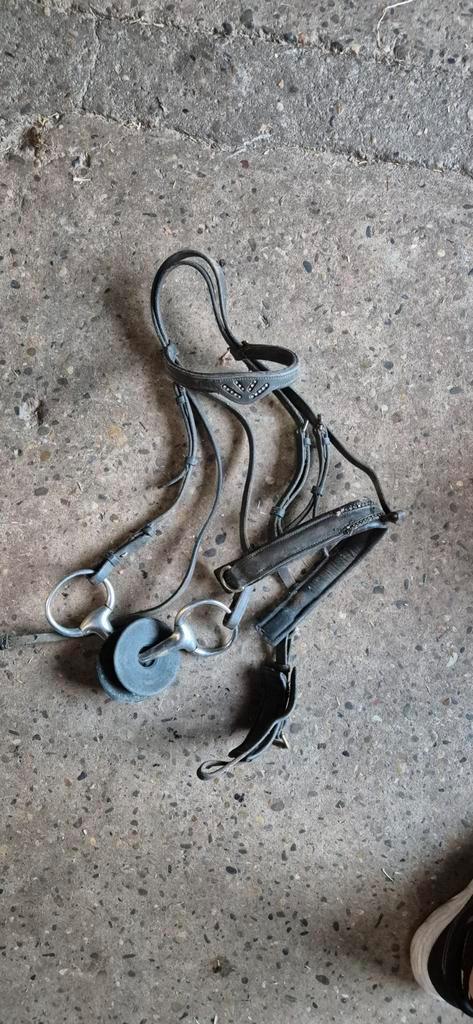 Hoofdstel maat full, Dieren en Toebehoren, Paarden en Pony's | Hoofdstellen en Tuigage, Gebruikt, Ophalen