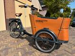 Babboe E-Curve bakfiets voor 2-4 kinderen, Ophalen, Gebruikt, 4 kinderen of meer, Overige merken