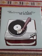 The Delgados- Universal Audio lp, Ophalen of Verzenden, Zo goed als nieuw, 12 inch, Poprock
