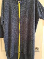 Tuniek 4XL, Kleding | Dames, Grote Maten, Ophalen of Verzenden, Gedragen, Grijs, Blouse of Tuniek