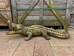 krokodil, Ophalen, Woondecoratie eindhoven, Nieuw, Woondecoratie eindhoven