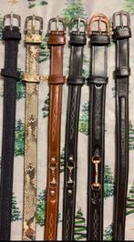 Verschillende riemen ruiter, Ophalen of Verzenden, Nieuw, Overige soorten