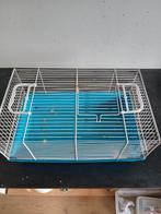 knaagdieren transportkooitje, Gebruikt, Hamster, Minder dan 75 cm, Reiskooi of Transportbox