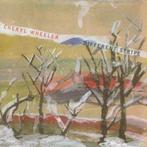 CD Cheryl Wheeler - Different stripe, Ophalen, Gebruikt, Singer-songwriter