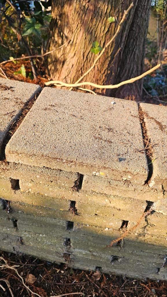 Gratis tegels 30x30x4 cm - Grote partij, Tuin en Terras, Tegels en Klinkers, Gebruikt, Terrastegels, Beton, 10 m² of meer, Ophalen of Verzenden