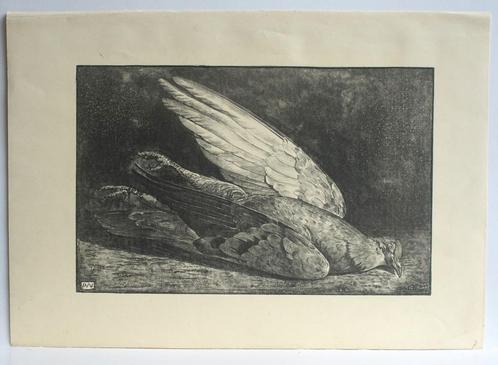 Mooie heldere litho DUIF van Anton Wirtz. 1872 _ 1945 Tekena, Antiek en Kunst, Kunst | Litho's en Zeefdrukken, Ophalen of Verzenden