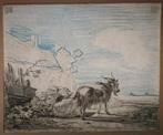 Bok en schapen. Potloodtekening. 19e eeuw., Antiek en Kunst, Kunst | Tekeningen en Foto's, Ophalen of Verzenden