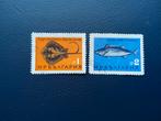 Bulgarije Postzegels - Vissen, Postzegels en Munten, Ophalen of Verzenden