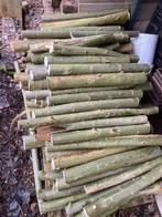 Openhaardhout, Minder dan 3 m³, Ophalen, Overige houtsoorten, Stammen