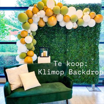 Klimop Muur Backdrop voor Events beschikbaar voor biedingen