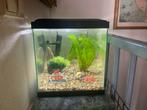 CIANO aquarium 58L met LED verlichting en pomp, Dieren en Toebehoren, Vissen | Aquaria en Toebehoren, Ophalen, Gebruikt, Leeg aquarium
