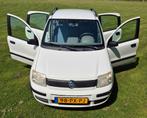Fiat Panda, Auto's, Fiat, Stof, Panda, Wit, Dakrails