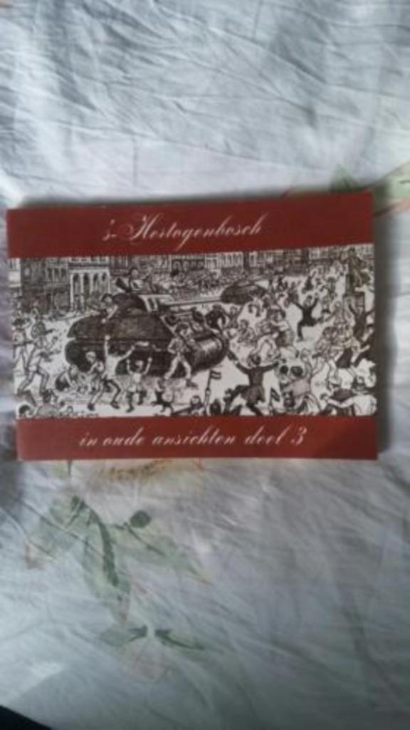 s hertogenbosch in oude ansichten deel 3, Boeken, Geschiedenis | Stad en Regio, Zo goed als nieuw, 20e eeuw of later, Ophalen of Verzenden