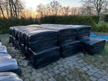 KuilBalen 2024 beschikbaar voor biedingen