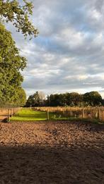 Stalling aangeboden voor kleine pony, Dieren en Toebehoren, Stalling