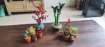 Lego botanicals 3x lucky bamboo , tiny plants en japanse, Ophalen of Verzenden, Zo goed als nieuw, Complete set, Lego