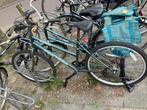 Dames mountainbike, Gebruikt, Hardtail, Dames, Ophalen