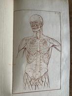 Ploos van Amstel Kennis der anatomie 1783 met 27 gravures, Antiek en Kunst, Ophalen of Verzenden