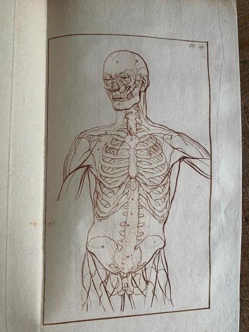 Ploos van Amstel Kennis der anatomie 1783 met 27 gravures, Antiek en Kunst, Antiek | Boeken en Bijbels, Ophalen of Verzenden