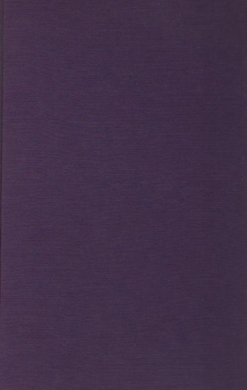 De vlucht van de zeven zwaluwen (geen omslaghoes), Boeken, Romans, Gelezen, Nederland, Ophalen of Verzenden