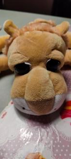 Leeuwen knuffel, Ophalen of Verzenden, Zo goed als nieuw, Overige typen