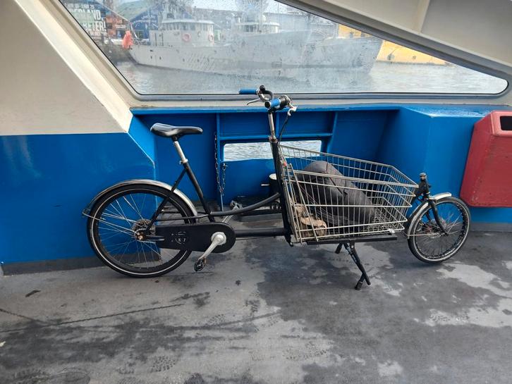 Bakfietsen, Fietsen en Brommers, Fietsen | Bakfietsen, Zo goed als nieuw, 2 kinderen, Elektrisch, Ophalen