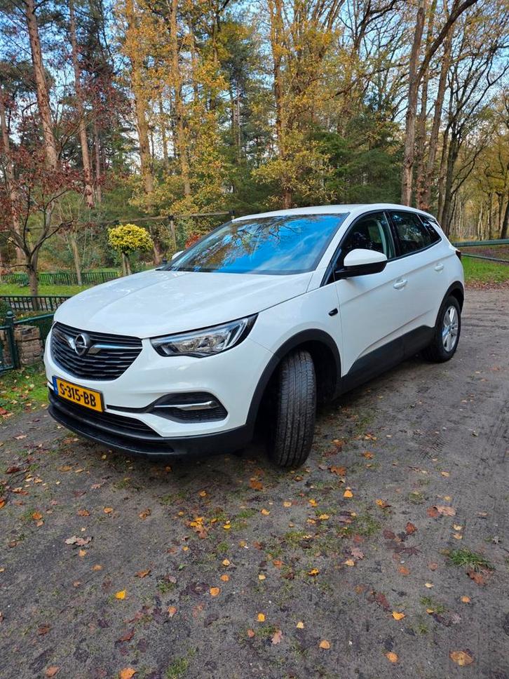 Opel Grandland X 1,2 Turbo, Auto's, Opel, Particulier, Achteruitrijcamera, Adaptieve lichten, Airbags, Airconditioning, Android Auto