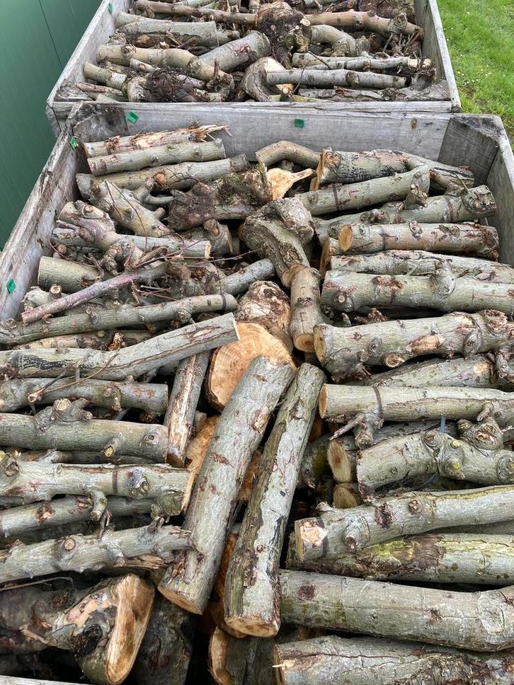 Droog appelbomen brandhout, Tuin en Terras, Haardhout, Blokken, Overige houtsoorten, 6 m³ of meer, Ophalen