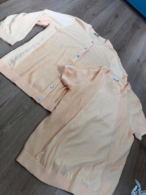 Atelier twinset vest truitje gebreid 44 katoen zalm geel, Kleding | Dames, Truien en Vesten, Zo goed als nieuw, Maat 42/44 (L)