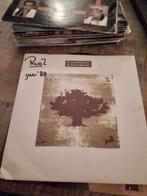 Claire hamill - glastonbury, Cd's en Dvd's, Ophalen of Verzenden, Zo goed als nieuw, Nederlandstalig