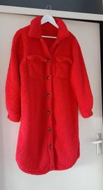 Mooie rode teddy jas, Kleding | Dames, Jassen | Winter, Ophalen of Verzenden, Zo goed als nieuw, Maat 38/40 (M), Rood
