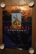 filmposter Serengeti Symphony 70x100, Ophalen of Verzenden, Gebruikt, Deurposter of groter, Film en Tv