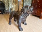 Engelse Bulldog XXL, Ophalen, Zo goed als nieuw, Dier