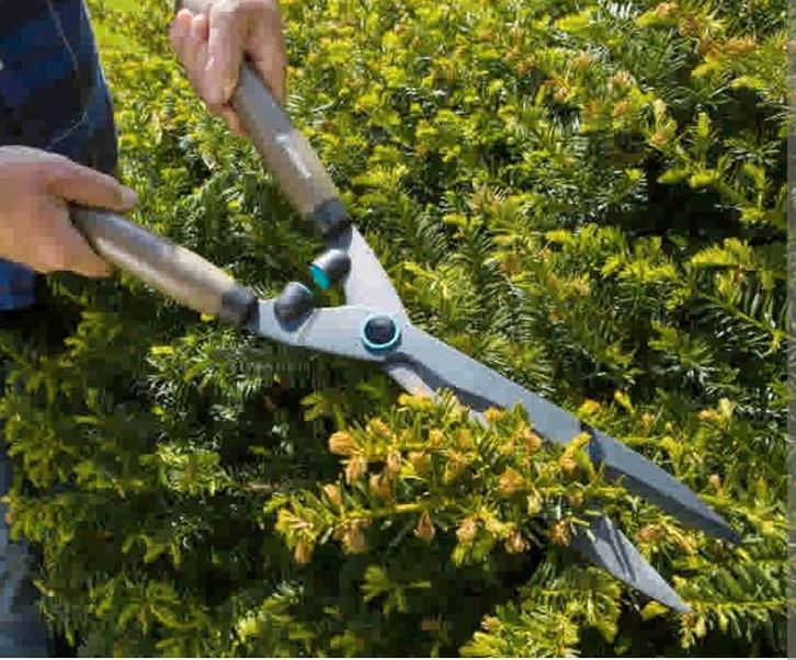 Tuinman, Diensten en Vakmensen, Tuinmannen en Stratenmakers