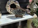 Gietijzeren tuin vaas, Antiek en Kunst, Curiosa en Brocante, Ophalen of Verzenden