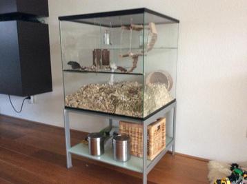 Terrarium op Maat voor Hamsters, Gerbils en Muizen beschikbaar voor biedingen