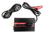 Smart Charger / LIFEP04 battery charger RoHS, Ophalen of Verzenden, Nieuw