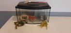 Aqual aquarium model PAO-60 Ecoline 2010, Ophalen, Gebruikt, Verlichting of Verwarming