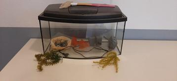 Aqual aquarium model PAO-60 Ecoline 2010 beschikbaar voor biedingen