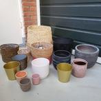 Diverse bloempotten - ophalen, Tuin en Terras, Bloempotten, Ophalen, Gebruikt, Rond, Minder dan 25 cm