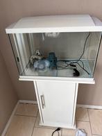 Aquarium superfish icl. Kast en toebehoren, Ophalen, Gebruikt, Verlichting of Verwarming