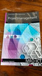 Ronald Kerssies - Projectmanagement, Ronald Kerssies, Ophalen of Verzenden, Zo goed als nieuw, Nederlands