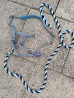 Blauw halster met glitters, Dieren en Toebehoren, Ophalen of Verzenden, Zo goed als nieuw, Overige soorten