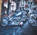 Harley Davidson motorcycles - nieuwe ansichtkaart, Verzenden, 1980 tot heden, Ongelopen, Voertuig